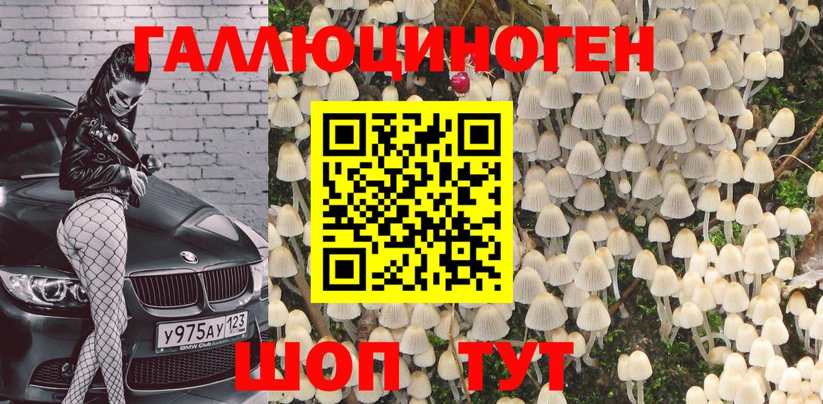 Псилоцибиновые грибы Cubensis Зеленодольск