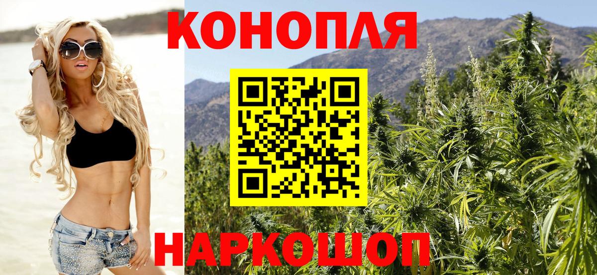 Конопля план  Канабис конопля  Бошки марихуана MAZAR  Зеленодольск  Марихуана тримм  Вход с VPN 
